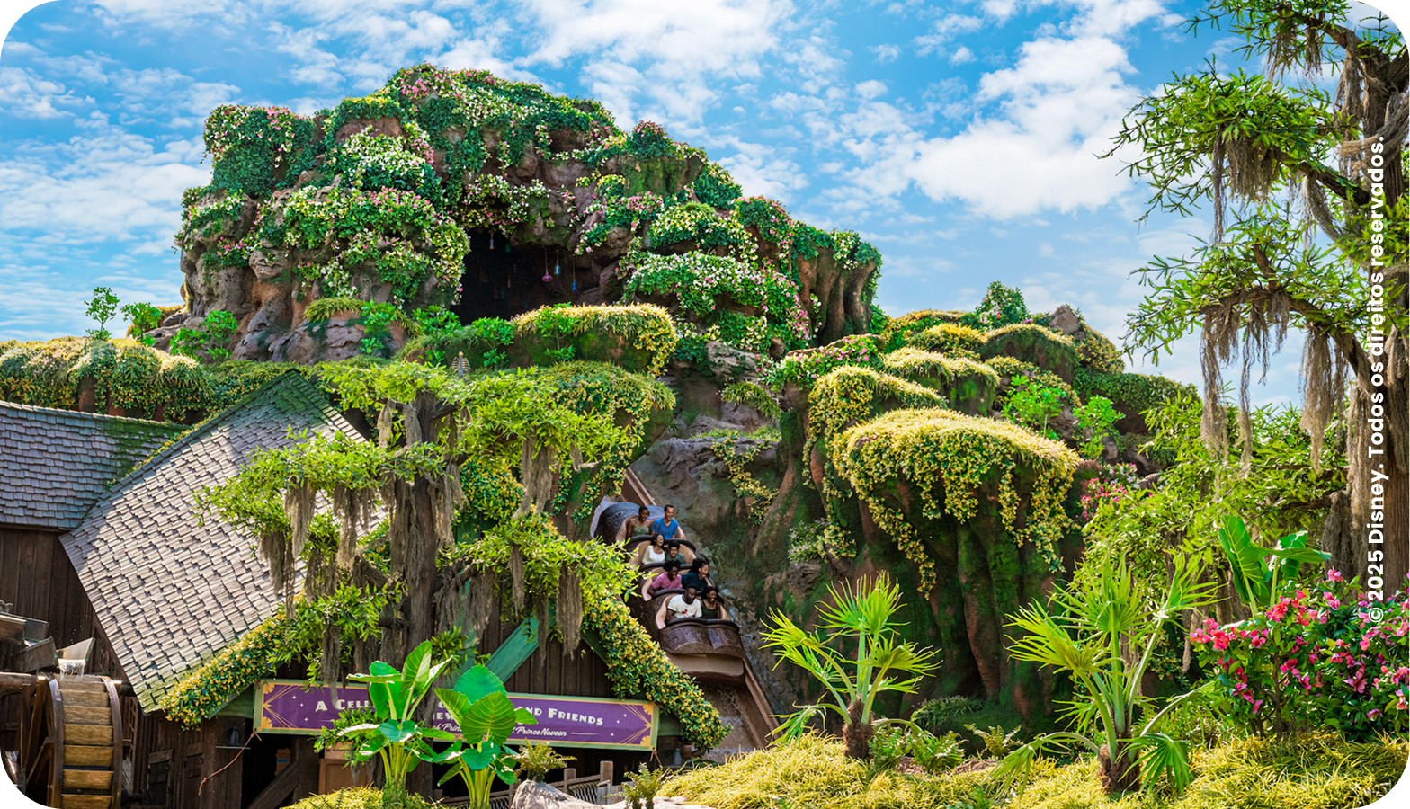 Novidades e atrações