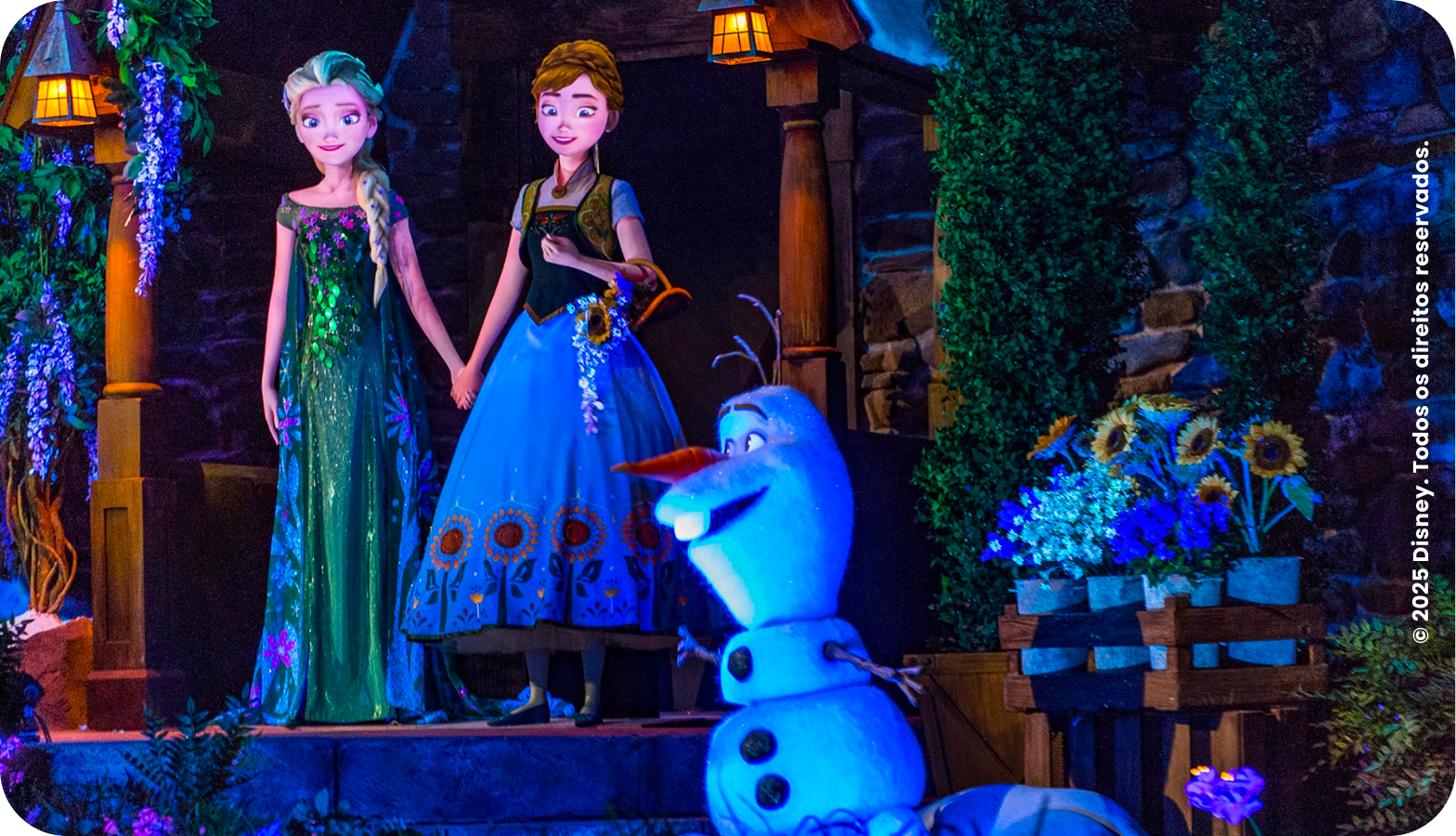 Atrações selecionadas