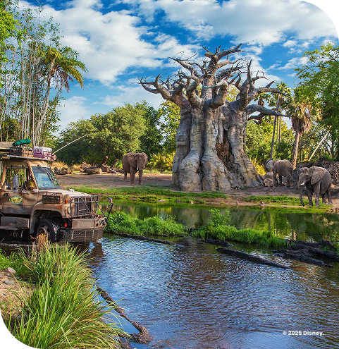 Animal Kingdom