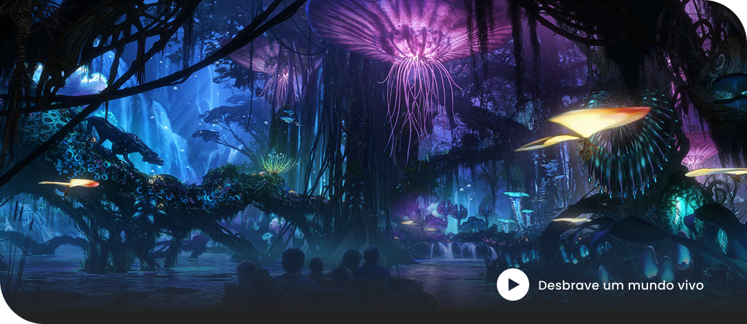 Animal Kingdom Video