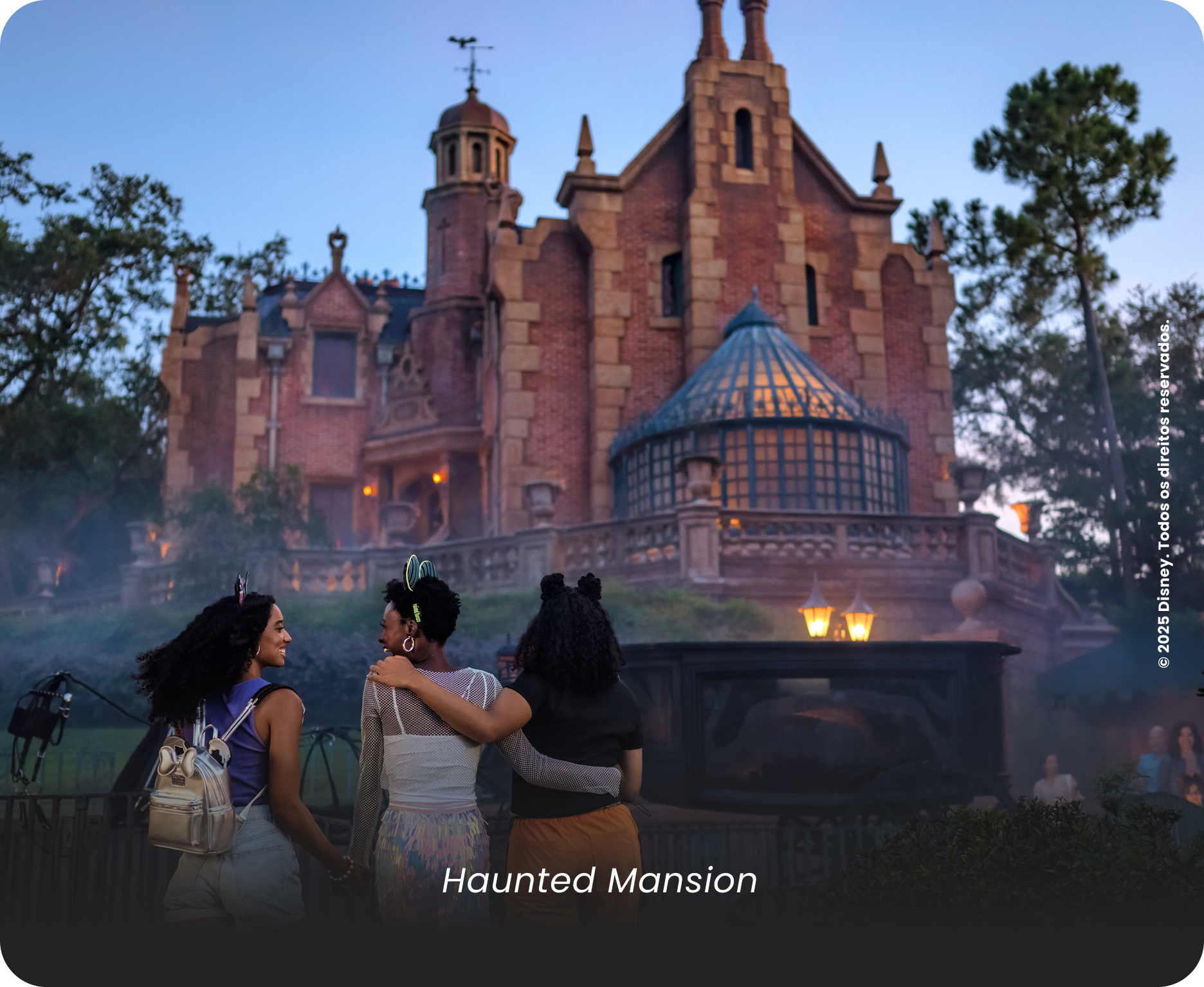 Magic Kingdom Gallery 1