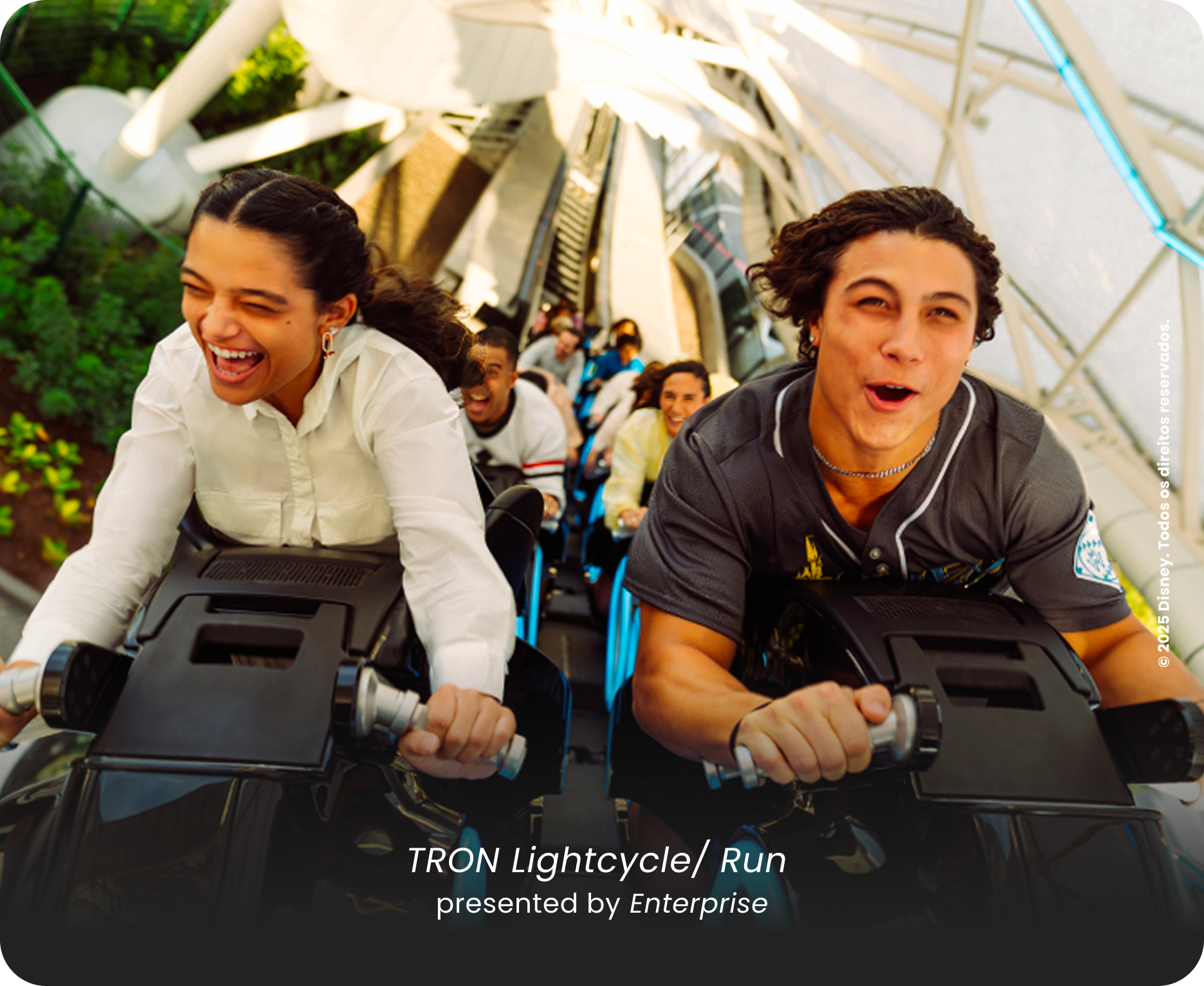 Magic Kingdom Gallery 2