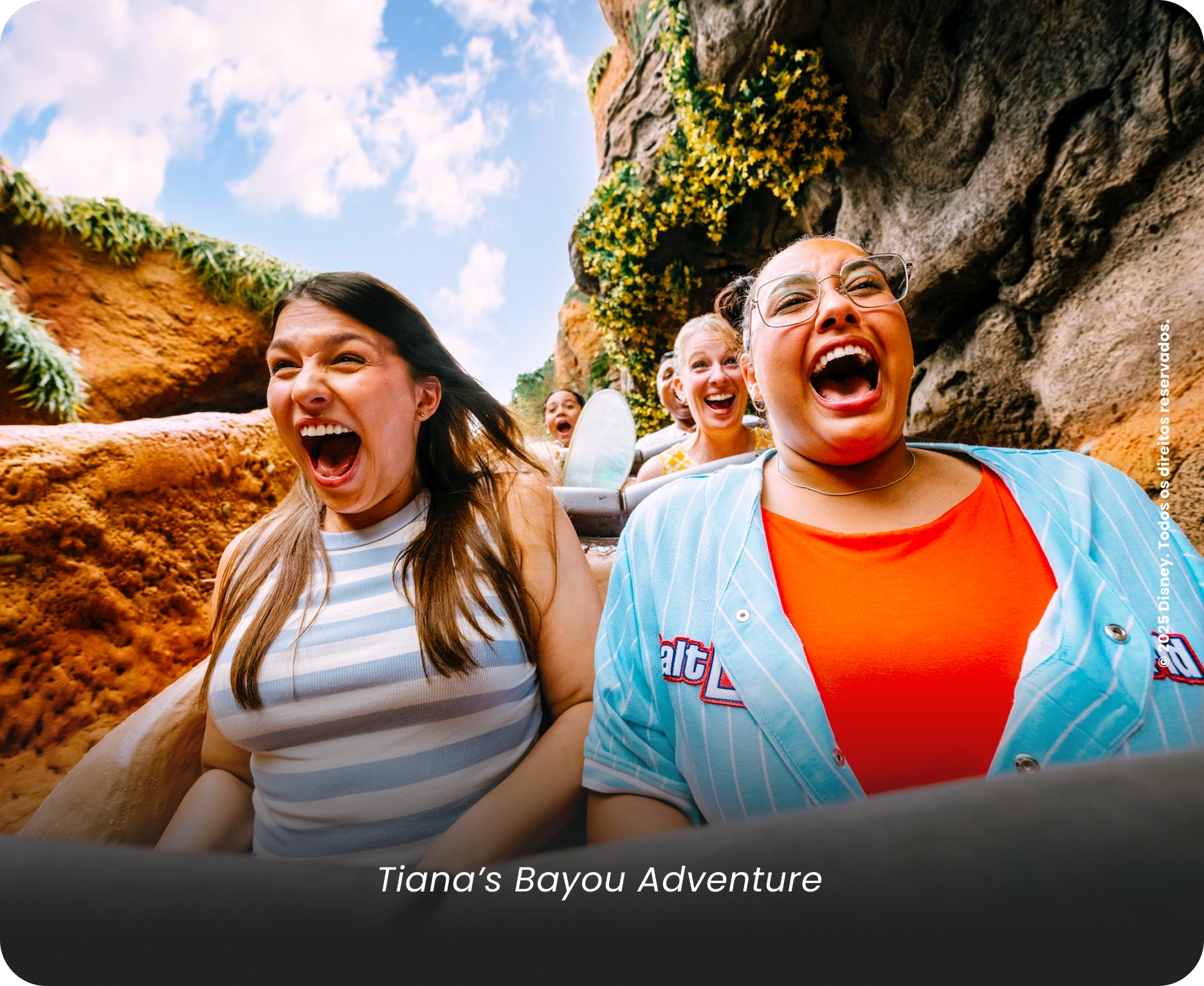 Magic Kingdom Gallery 3