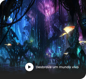 Animal Kingdom Video